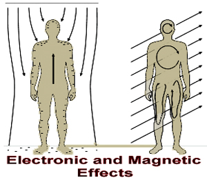 EMF Magnetic effects on the body