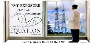 How does EMF effect human and animal helath explained by the EMF medcial professor dr Josef Dumanov esq