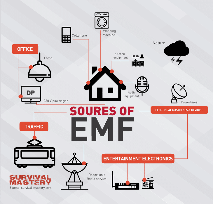 What is the EMF Inspection Cost in Princeton?